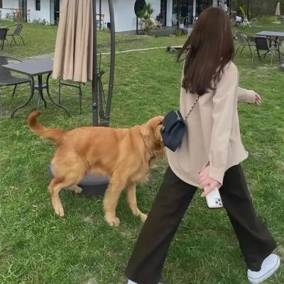 未见再见