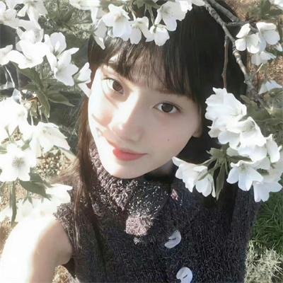 荣誉曙光